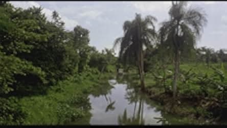 Killer Crocodile 1989