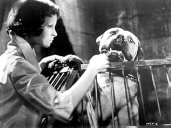 Eyes Without a Face 1960
