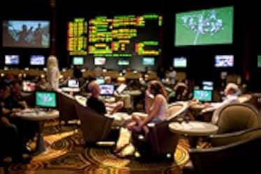 Lay the Favorite 2012