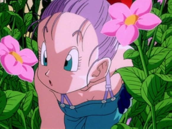 Dragon Ball: The Path to Power 2003