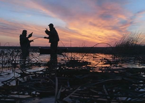 The Million Dollar Duck 2016