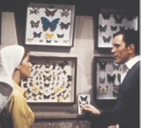 The Collector 1965