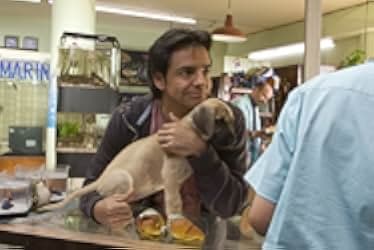 It's Not You, It's Me 2010