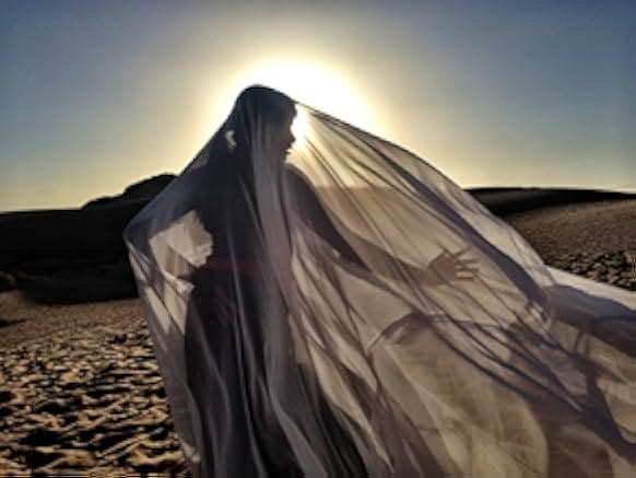 Desert Dancer 2014