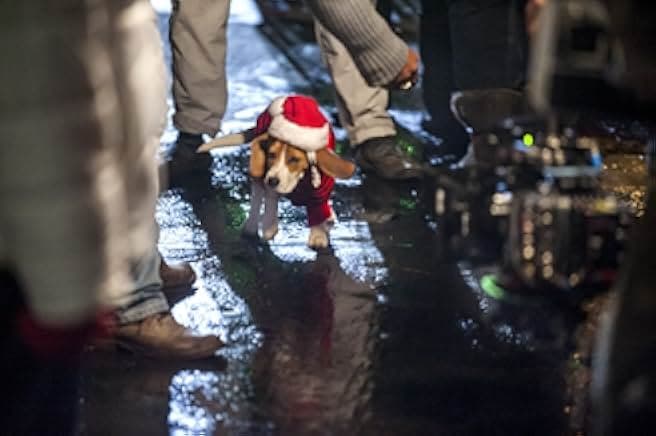 Christmas Under Wraps 2014