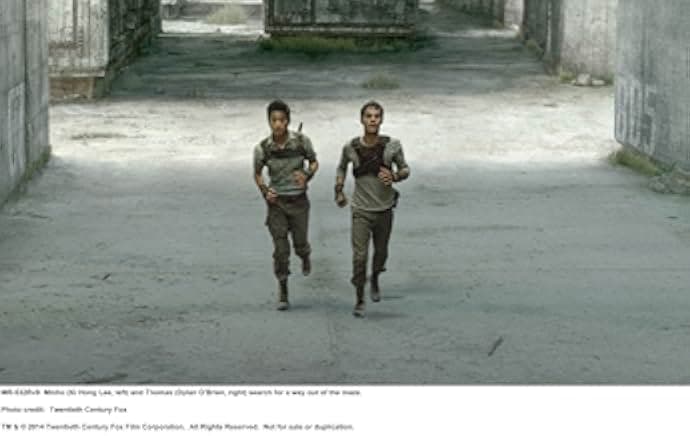 The Maze Runner 2014