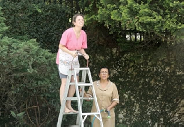 The Second Mother 2015