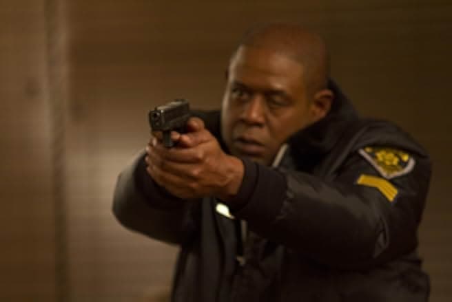 Pawn 2013