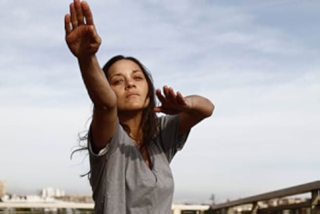 Rust and Bone 2012