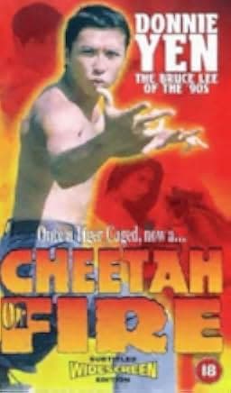 Cheetah on Fire 1992