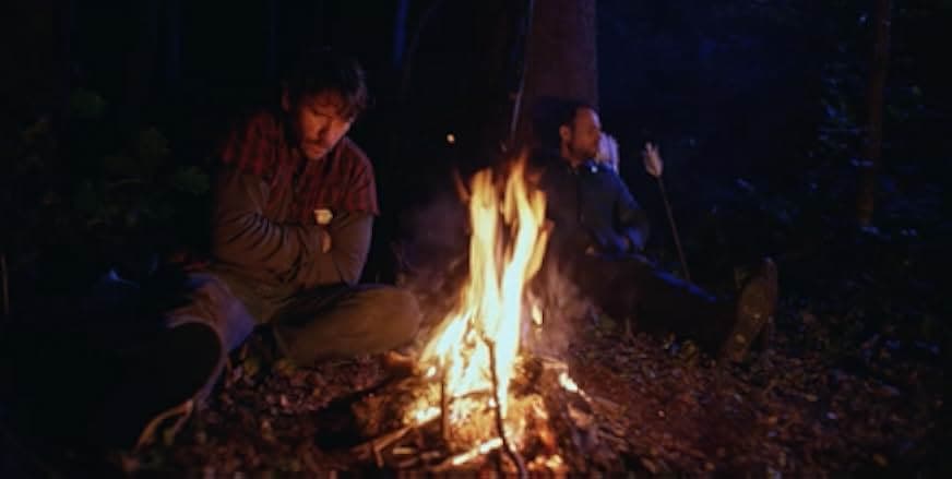 The Shade Shepherd 2019