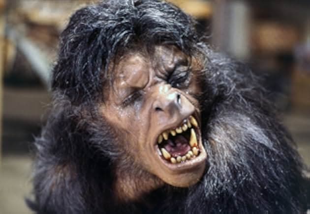 An American Werewolf in London 1981