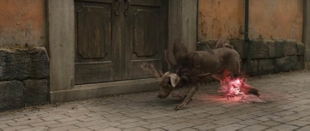Fullmetal Alchemist the Revenge of Scar 2022