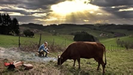 One Man and His Cow 2016
