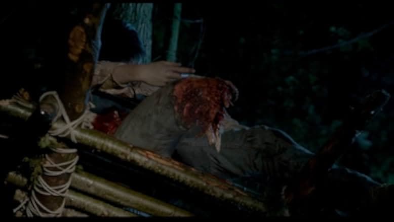 Into the Grizzly Maze 2015