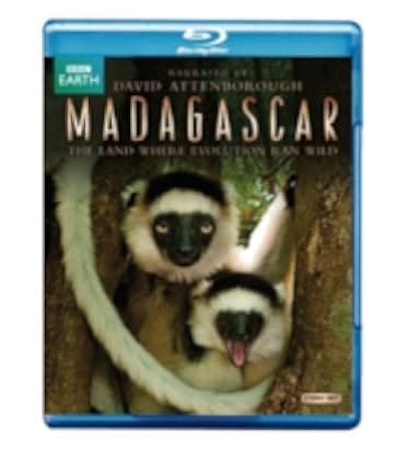 Madagascar 2011