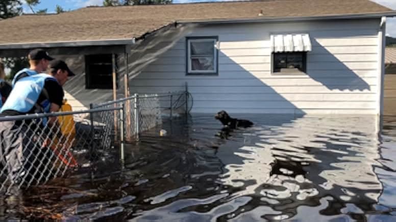 Breaking the Chain 2020