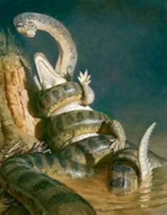 Titanoboa: Monster Snake 2012