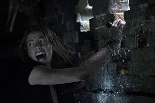 Crawl 2019
