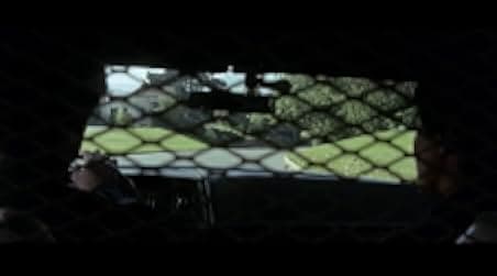 Yellow-Faced Tiger 1981