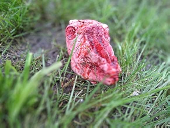 Headcheese: The Movie 2020