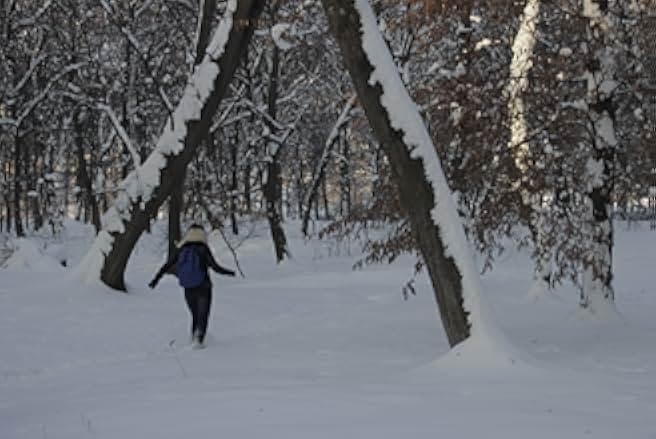 The Devil Complex 2016