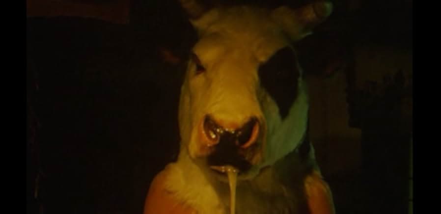 Gozu 2004