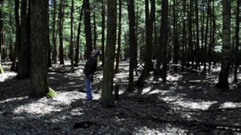 North by Current 2021