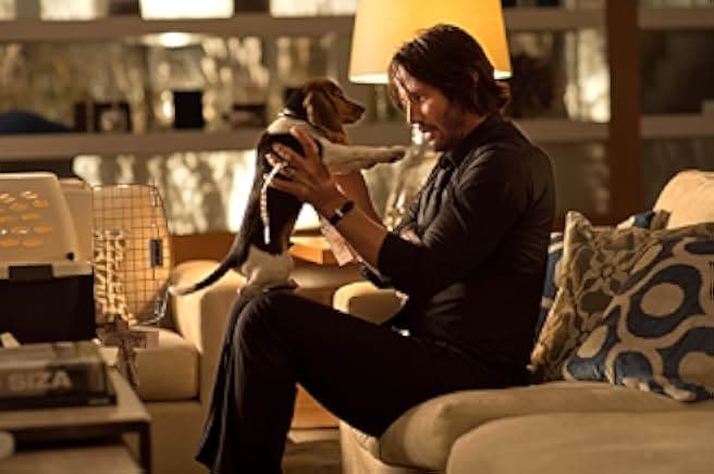 John Wick 2014