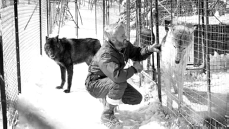 Cry of the Wild 1973