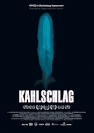 A Clear Felling 2018