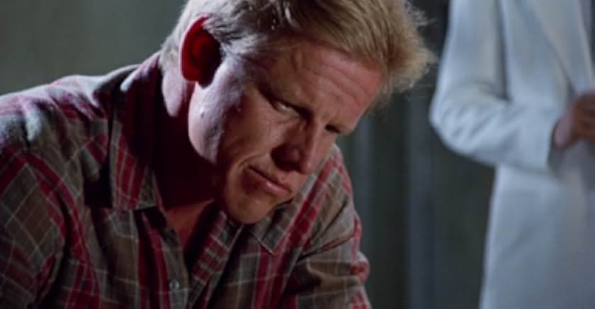 Eye of the Tiger 1986