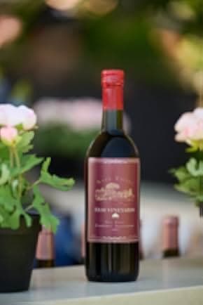 Napa Ever After 2023