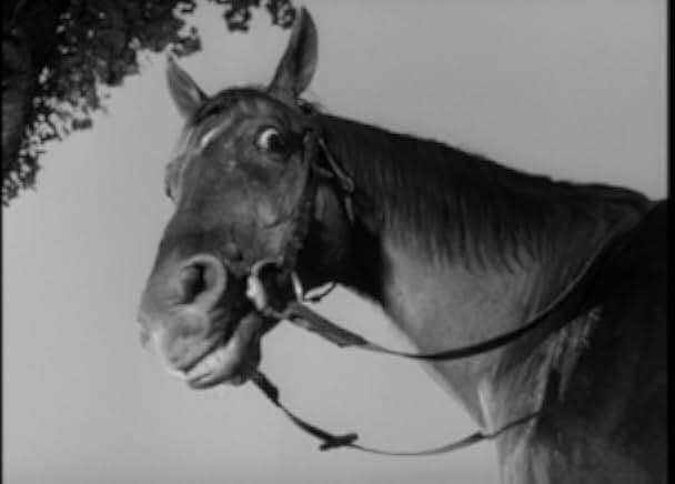 Das siebente Opfer 1964