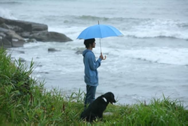 Sweet Rain: Accuracy of Death 2008
