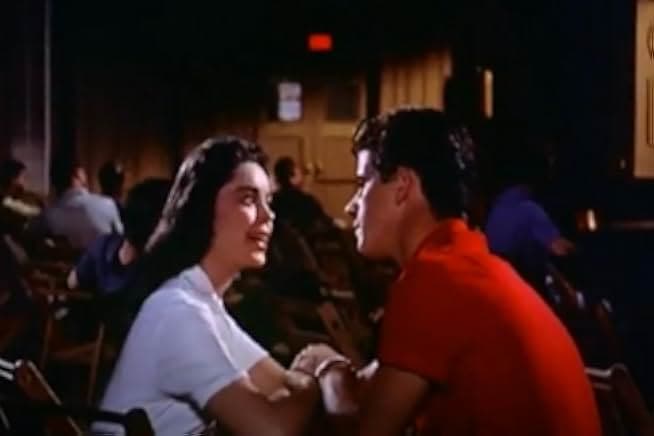 Marjorie Morningstar 1958