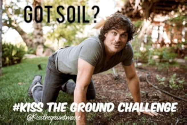 Kiss the Ground 2020