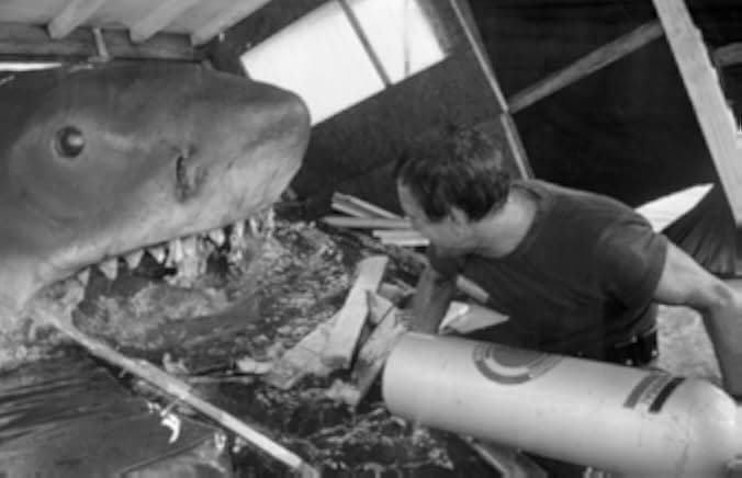 Jaws 1975