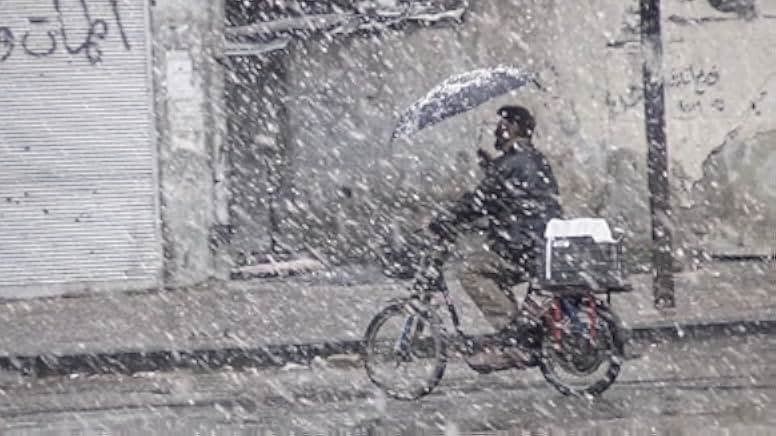 Little Palestine Diary of a Siege 2021