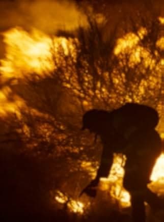 Fire Will Come 2019