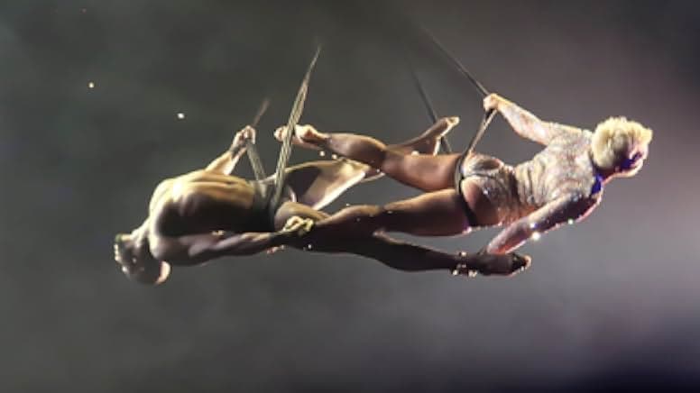Pink: Staying True 2013