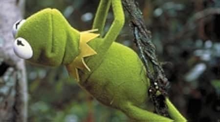 Kermit's Swamp Years 2002