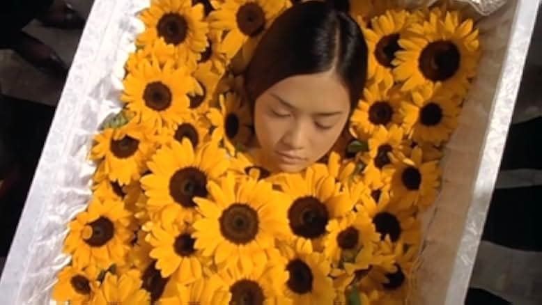 Midnight Sun 2006