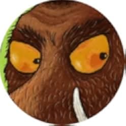 Room on the Broom 2013