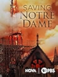 Saving Notre-Dame 2020 TV 2020