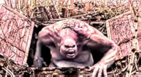 Ogre 2008