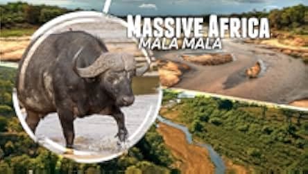 Mala Mala Episode aired Mar 14, 2019