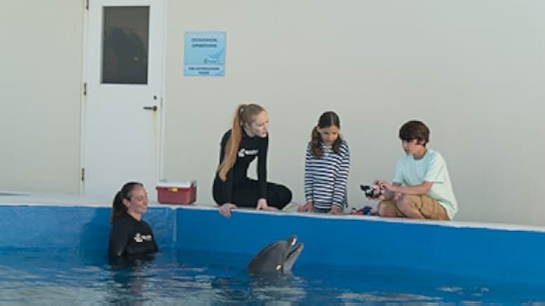 Bernie The Dolphin 2018