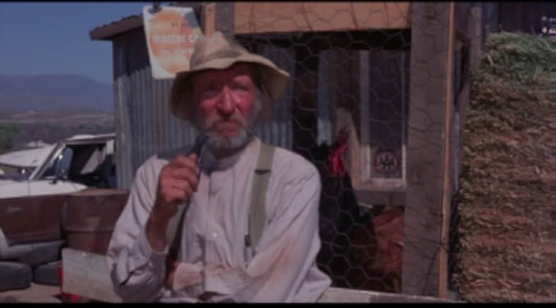 Kingdom of the Spiders 1977