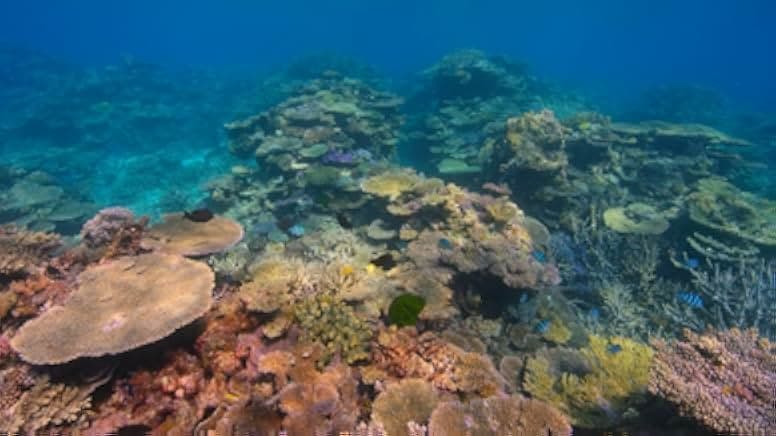 David Attenborough: A Life on Our Planet 2020